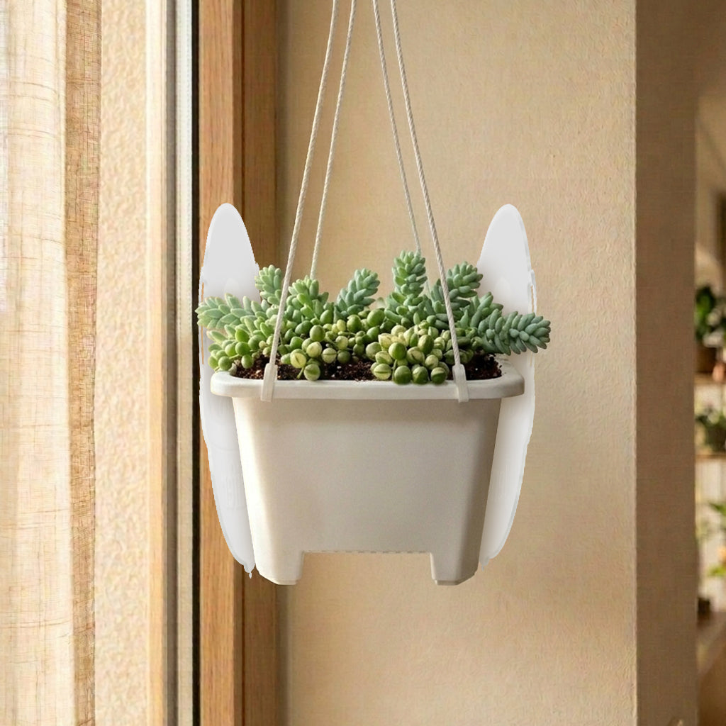 Baby Green - Personalized The Force Hanging Pot
